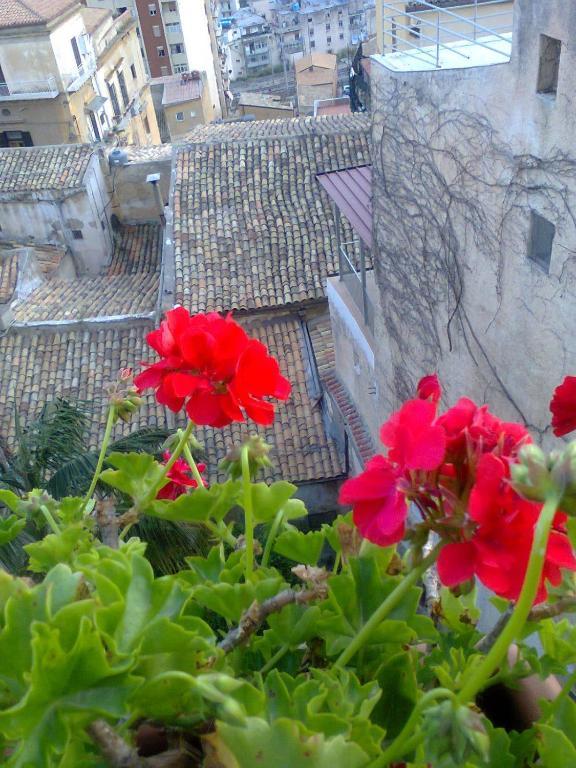 Bed and Breakfast I Tetti Di Girgenti Agrigento Exterior foto